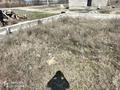 Участок · 10 соток, Абылайхана 778 — Вдоль трассы за 5.5 млн ₸ в Нура — фото 6