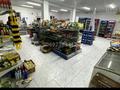 Магазины и бутики • 150 м² за 29 млн 〒 в С.шапагатовой — фото 5