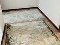 1-бөлмелі пәтер · 54 м² · 12/16 қабат, Балапанова, бағасы: 2 500 ₸ в Талдыкоргане, мкр Болашак — фото 4