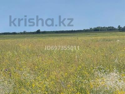 Участок · 98 га, Костомар за 70 млн ₸