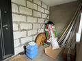 Отдельный дом · 4 комнаты · 156 м² · 9.3 сот., Мамыр 20 за 19.5 млн ₸ в Щучинске — фото 18