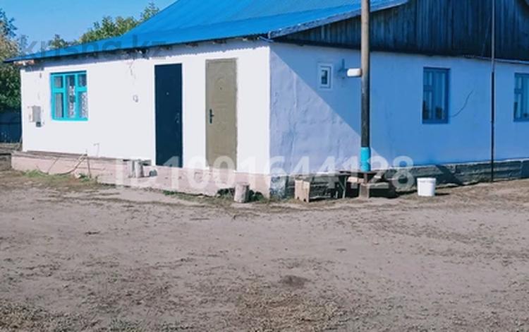 Отдельный дом · 5 комнат · 110 м² · 28 сот., Ижевское, Шоптыкол 1 — Бірінші уй за 28 млн ₸ в Акмолинской обл. — фото 2