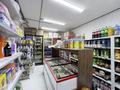 Магазины и бутики · 65 м² за 78 млн ₸ в Астане, Нура р-н