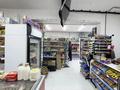 Магазины и бутики · 65 м² за 78 млн ₸ в Астане, Нура р-н — фото 12