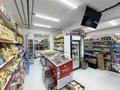 Магазины и бутики · 65 м² за 78 млн ₸ в Астане, Нура р-н — фото 4