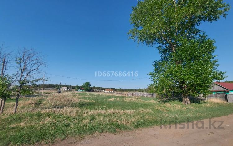 Участок · 25 соток, Красный кордон — Орталык 13 за 5 млн ₸ в  — фото 2