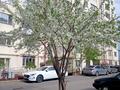 2-комнатная квартира · 65 м² · 1/9 этаж, Мкр. Жас Канат 1/16 за 30 млн ₸ в Алматы, Турксибский р-н — фото 15