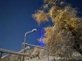 Жер телімі · 13 сотық, С/Т Кок-Тюбе 114, бағасы: 20 млн ₸ в Алматы, Медеуский р-н — фото 23