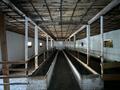 Сельское хозяйство · 842 м² за 60 млн ₸ в  — фото 30