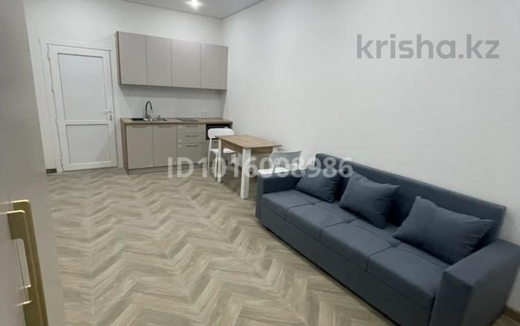 1-комнатная квартира · 25 м² · 1/1 этаж, Чокина 25 — Ташкенское байзакова за 200 000 ₸ в Алматы, Алмалинский р-н — фото 2