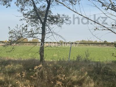 Жер телімі · 12.5 га, Трасса, бағасы: 300 млн ₸ в Узынагаш