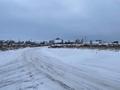 Участок · 6 га, Заречное СО 467 за 3.8 млн ₸ — фото 2