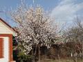 Отдельный дом · 4 комнаты · 100 м² · 8.5 сот., Инюшина 19 — Сейфулина угол Кунаева за 85 млн 〒 в Конаеве (Капчагай) — фото 15
