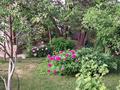 Отдельный дом · 4 комнаты · 100 м² · 8.5 сот., Инюшина 19 — Сейфулина угол Кунаева за 85 млн 〒 в Конаеве (Капчагай) — фото 25