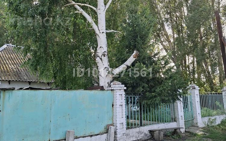 Отдельный дом · 3 комнаты · 90 м² · 25 сот., Береговая 6/4 — Возле речки за 3.7 млн ₸ в Таврическом — фото 2