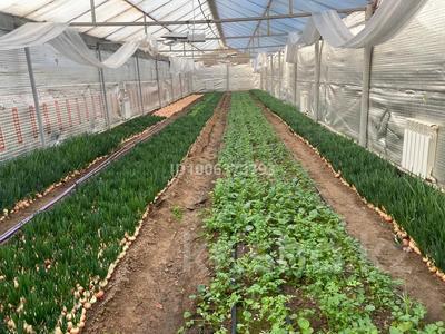 Сельское хозяйство · 1000 м² за 600 000 〒 в Уральске, мкр. Зачаганск пгт