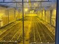 Ауыл шаруашылығы · 1000 м², бағасы: 600 000 ₸ в Уральске, мкр. Зачаганск пгт — фото 4