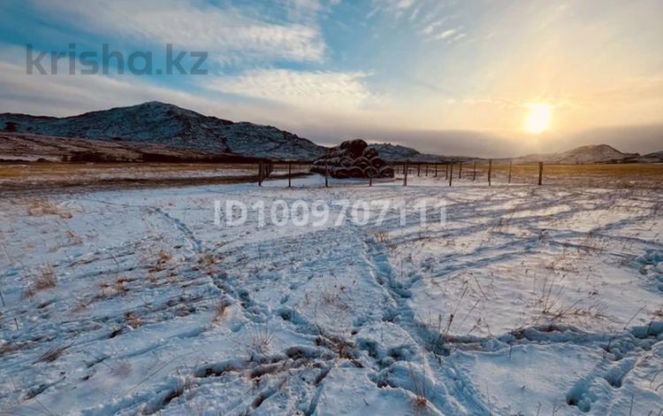 Участок · 3300 га, Таврическое за 160 млн ₸ — фото 2