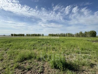 Участок · 800 га, Караой за 450 млн ₸
