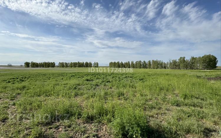 Участок · 800 га, Караой за 450 млн ₸ — фото 2