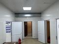 Свободное назначение, магазины и бутики, общепит · 126 м² за 49 млн ₸ в Астане, Сарайшык р-н — фото 21