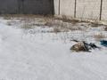 Участок · 5 соток, 21 линия 8 за 10 млн ₸ в Коянкусе — фото 2