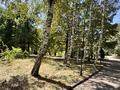 Участок · 1.7 га, мкр Тау Самал 120/20 за 4.7 млрд ₸ в Алматы, Медеуский р-н — фото 5