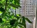3-бөлмелі пәтер · 97 м² · 2/15 қабат, Абая, бағасы: 72 млн ₸ в Алматы, Бостандыкский р-н — фото 20
