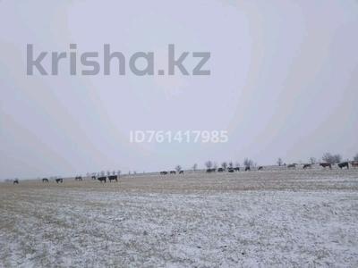 Участок · 10 га, Туркво за 100 млн 〒 в Жаркенте