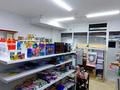 Еркін · 24.7 м², бағасы: 12 млн ₸ в Астане, Есильский р-н — фото 4