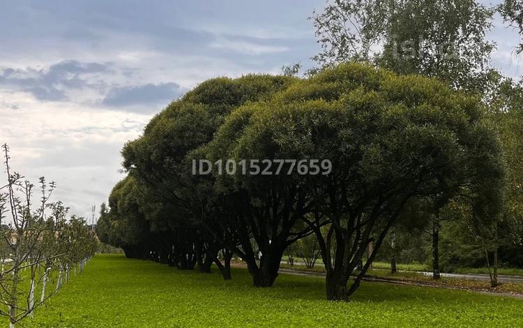 Пәтер жалға аламын, Жаңатас в Жанатасе — фото 2