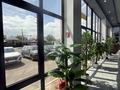 Свободное назначение · 512 м² за 4 млн ₸ в Алматы, Турксибский р-н — фото 7