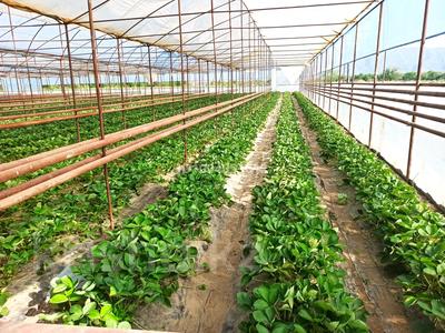 Участок · 10 га, КХ — Между Узынагаш и Фабричный (Каргалы) за 160 млн 〒