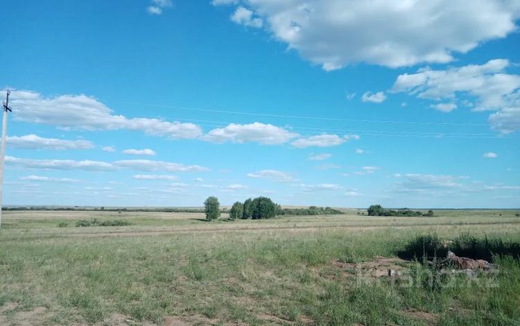 Жер телімі · 2.9 га, Бозайғыр, бағасы: 15 млн ₸ в  — фото 3