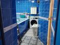 Отдельный дом · 5 комнат · 270 м² · 10 сот., Воронина за 94.5 млн ₸ в Усть-Каменогорске — фото 34