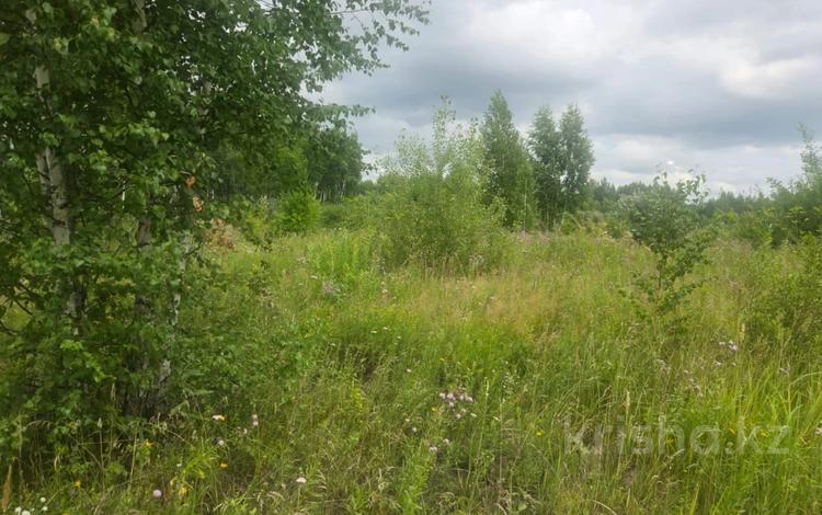 Участок · 0.06 га, С/т Чайка, ул. 5 Улица 191 за 930 150 ₸ в Петропавловске — фото 2
