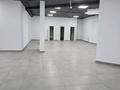 Офисы, магазины и бутики, салоны красоты, фитнес и спорт, медцентры и аптеки, студии · 188.1 м² за ~ 1 млн ₸ в Астане, Сарыарка р-н — фото 5