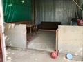 Саяжай · 3 бөлме · 60 м² · 6 сот., Ардагер-Ветеран — Первомайские Пруды, бағасы: 15 млн ₸ в М. Туймебаеве — фото 18