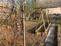 Дача · 1 комната · 600 м² · 6 сот., Сиреневая 4 — Сад Реченка за 3.3 млн ₸ в Павлодаре — фото 6