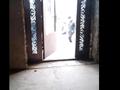 Отдельный дом · 5 комнат · 208.3 м² · 8 сот., мкр Нуршуак, Руханият 135 за 35 млн 〒 в Шымкенте, Абайский р-н — фото 5