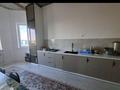 Отдельный дом · 6 комнат · 300 м² · 7 сот., мкр Достык — Алея. за 60 млн ₸ в Шымкенте, Абайский р-н — фото 4