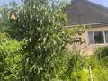 Отдельный дом · 3 комнаты · 100 м² · 6 сот., 4аллея 282 за 22.5 млн 〒 в Есик — фото 16