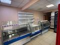 Еркін · 51.2 м², бағасы: 35 млн ₸ в Усть-Каменогорске, Ульбинский — фото 2