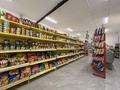 Свободное назначение · 100 м² за 20 млн ₸ в Астане — фото 14