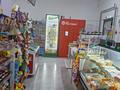 Свободное назначение · 100 м² за 20 млн ₸ в Астане — фото 6