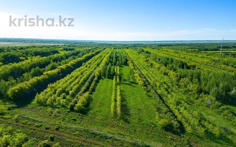 Участок · 100 га, Жибек жолы за 90 млн ₸ — фото 2