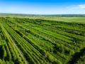 Участок · 100 га, Жибек жолы за 90 млн ₸ — фото 3