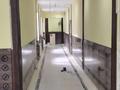 Білім орталықтары · 1000 м², бағасы: 4 млн ₸ в Астане, Алматы р-н — фото 2