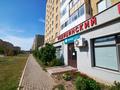 Еркін · 346 м², бағасы: 120 млн ₸ в Астане, Сарыарка р-н — фото 37