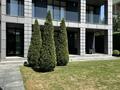 Отдельный дом · 6 комнат · 350 м² · 5 сот., Ашимова — КГ Тау Самалы за 2.5 млн ₸ в Алматы — фото 24